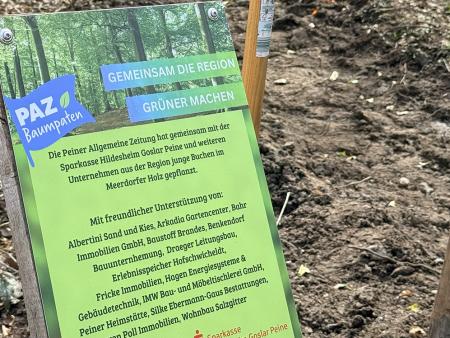 Baum-Schild