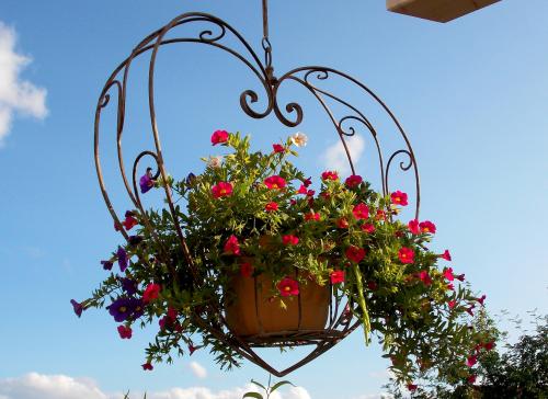 Blumenampel auf einem Balkon